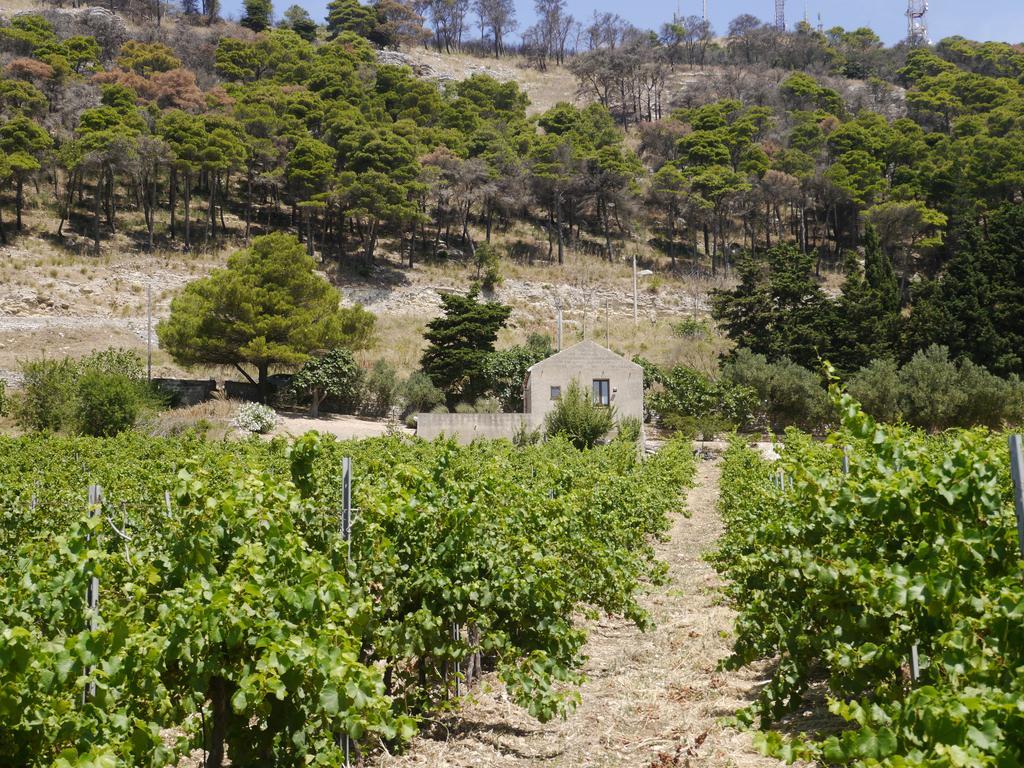 Penzion Casa Nel Vigneto Erice Exteriér fotografie