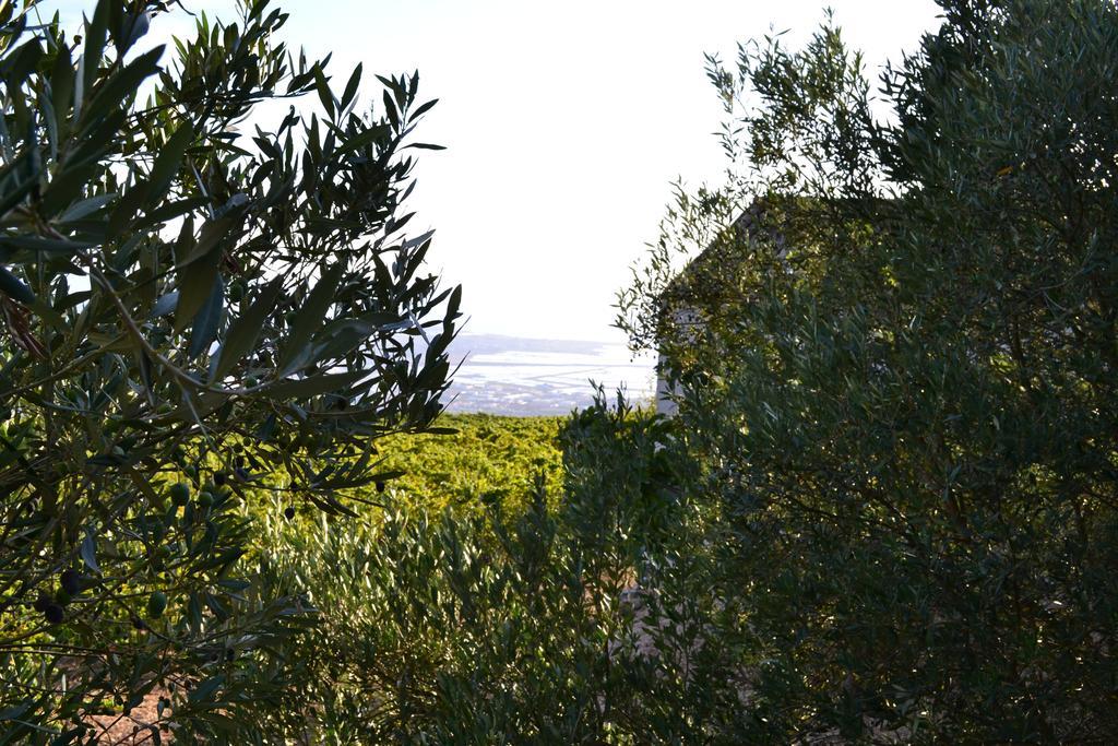 Penzion Casa Nel Vigneto Erice Exteriér fotografie