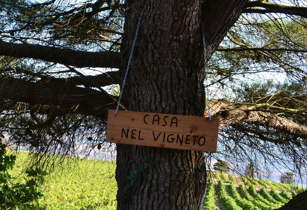 Penzion Casa Nel Vigneto Erice Exteriér fotografie